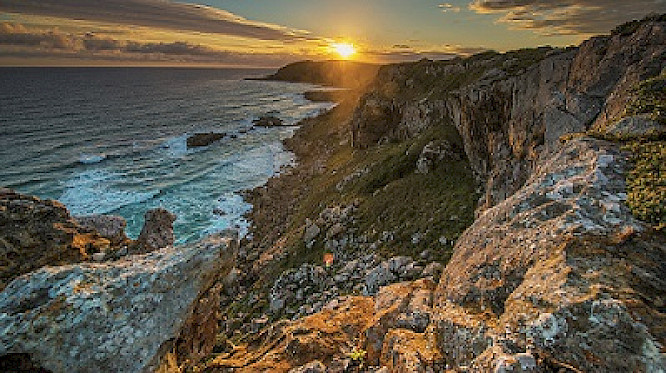 2015 Marlen Hundertmark