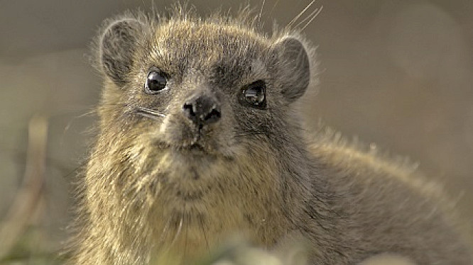 2015 Marlen Hundertmark