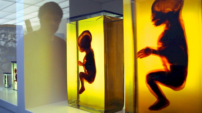 2015 filmtank GmbH Hamburg