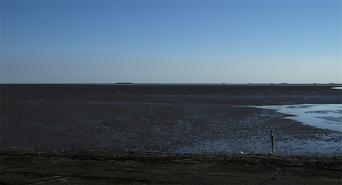 ONE DAY ONE YEAR ONE TIDE - A Brief Film About Time