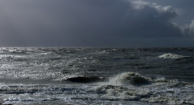 ONE DAY ONE YEAR ONE TIDE - A Brief Film About Time