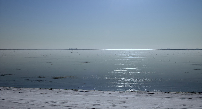 ONE DAY ONE YEAR ONE TIDE - A Brief Film About Time