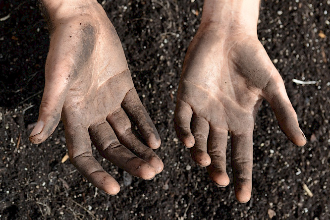 2016 M.Pitteloud / CloseUpFilms