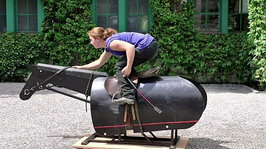 Bet on it! Horse Racing 3D