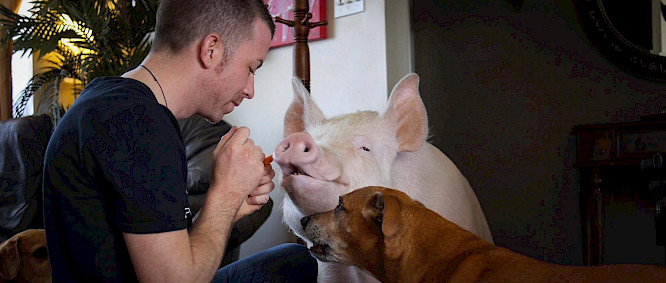 mindjazz pictures UG