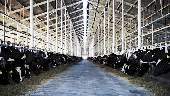 EIKON Media und MIRAMONTE FILM, Martin Rattini_Tiberius Film