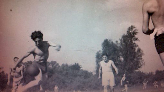 SWIMMING POOL AT THE GOLAN