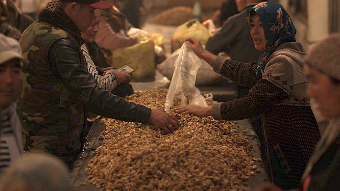 Kyrgystan&rsquo;s Gold &ndash; Treasures from the Forest