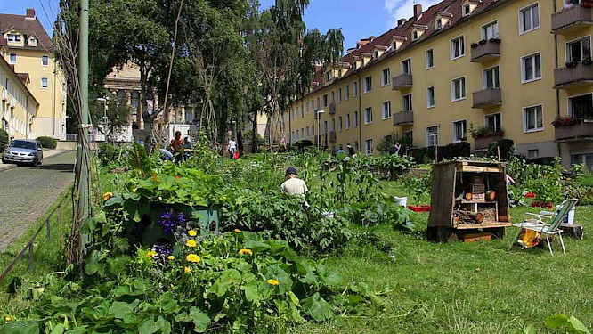 Plant, Pick & Eat It