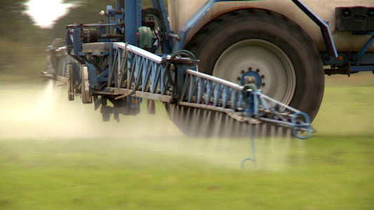 POISONED FIELDS - GLYPHOSATE, AN UNDERRATED RISK?