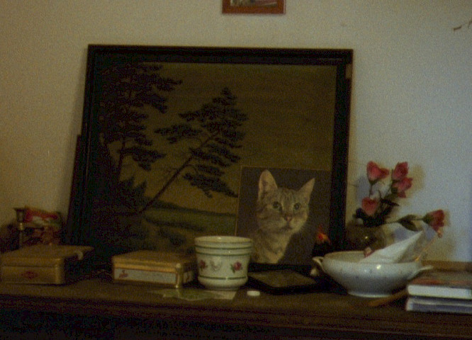 Ann Carolin Renninger, Ren&eacute; Fr&ouml;lke