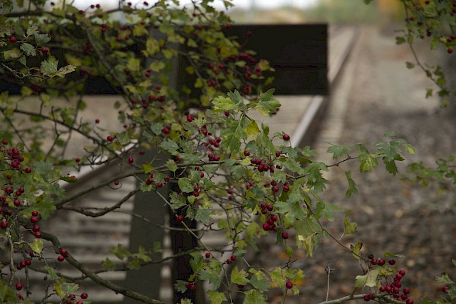 Schmidt & Paetzel Fernsehfilme GmbH