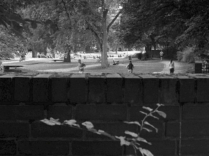 2018 Katharina Bintz