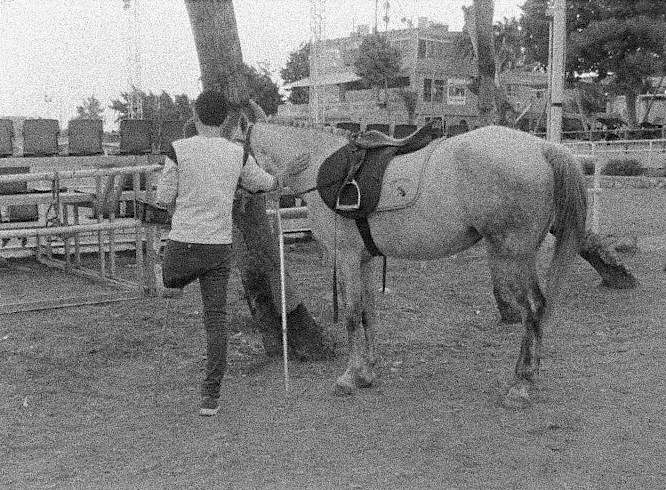 2018 RFF &ndash; Real Fiction Filmverleih e.K.