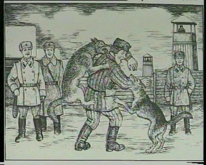 (c) 1992 B&ouml;ffgen/Klamt