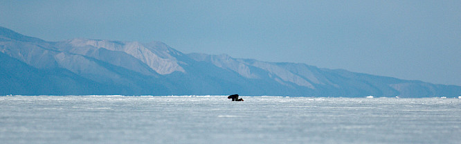 2018  Victor Kossakovsky