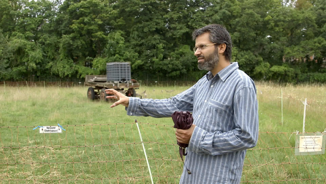 2018 / AMA FILM GmbH