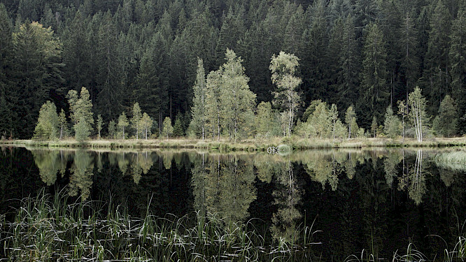 2018 / AMA FILM GmbH