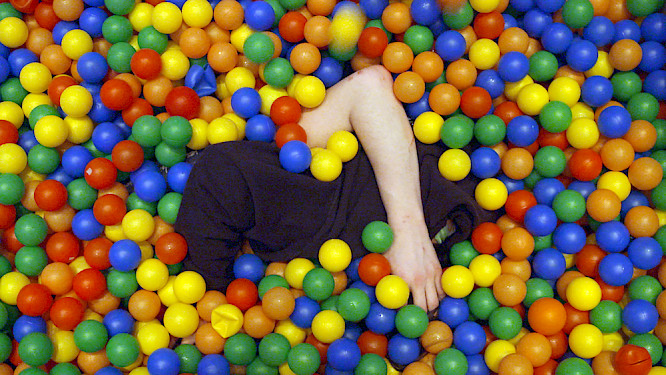 All Creatures Welcome