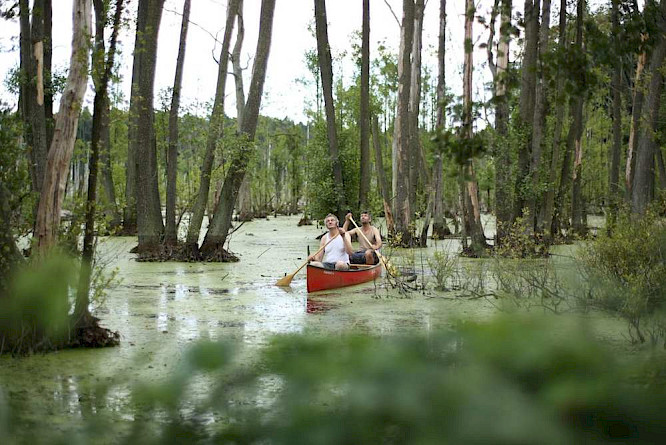 2018 DETAiLFILM GmbH