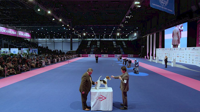 2018 Jonas Spriestersbach