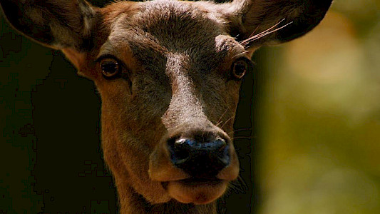 AUTUMN &ndash; WORLD OF COLOURS