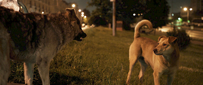 2019 IT Works medien GmbH | RAUMZEITFILM