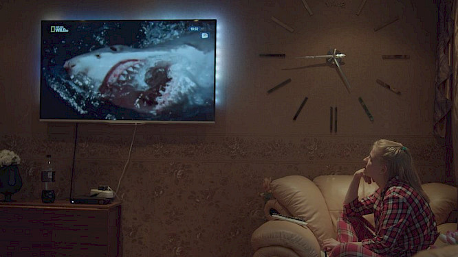 2018 Marko Mijatovic