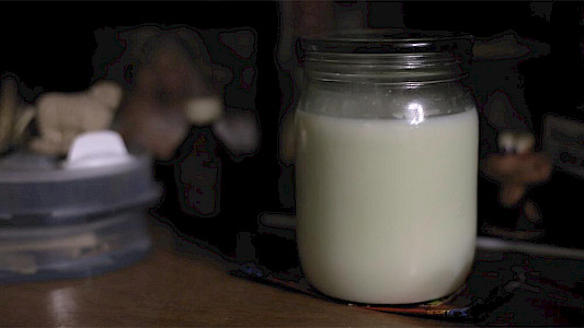 MY GRANDMOTHER AND HER INDIAN MILK FUNGUS