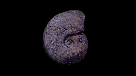 untitled (a refusal of leave to land) 