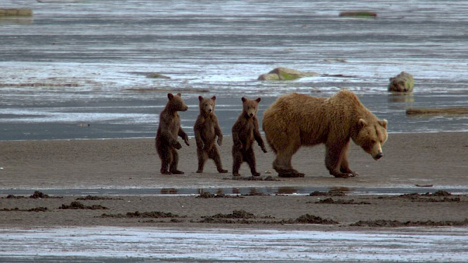 2018 Klaus Scheurich