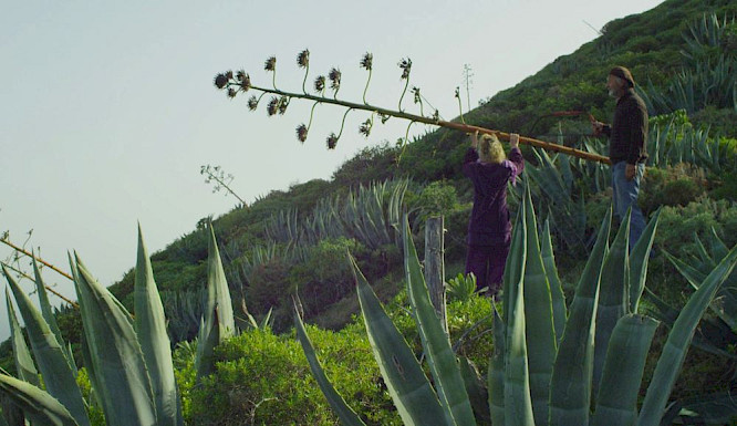 2018 Filmuniversit&auml;t Babelsberg KONRAD WOLF | Lars Ostmann