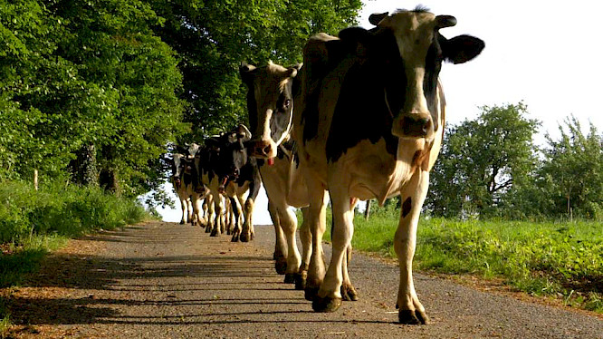 2018 Klaus Wei&szlig;mann, Marco Polo Film AG