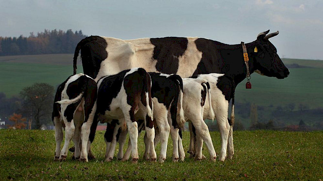 2018 Alexandra und Steffen Sailer, Marco Polo Film AG