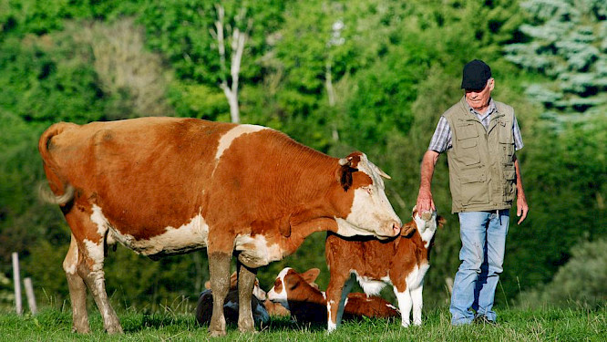 2018 Alexandra und Steffen Sailer, Marco Polo Film AG