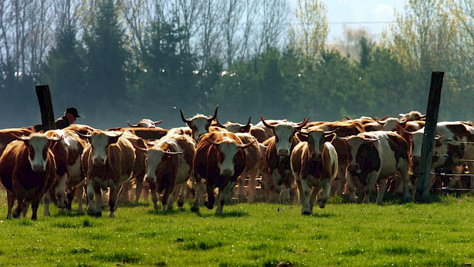 2018 Alexandra und Steffen Sailer, Marco Polo Film AG