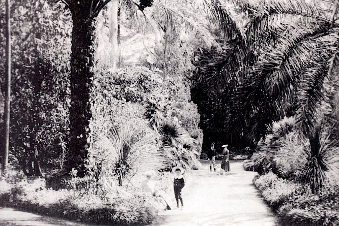 2019 NFP marketing & distribution GmbH