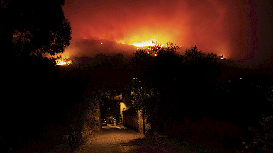 THE VILLAGE AND THE WILDFIRE