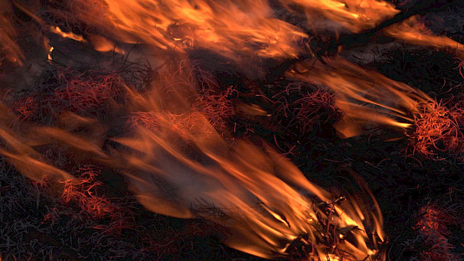 2018 Katrin Reichwald