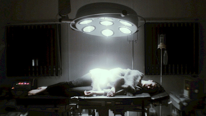 2018 Studio Huber Casalprim