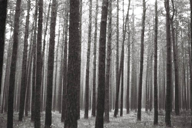 2018 OKTOBERFILM Goldstein & Binninger GbR 