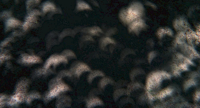 2019 Johannes Krell, Florian Fischer