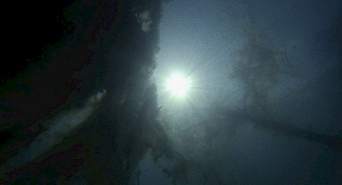 2018 by Johannes Krell, Florian Fischer