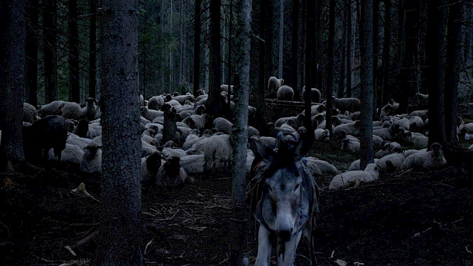 2018 f&uuml;nferfilm - Krause & Scheuffele GbR | Bernd Schoch