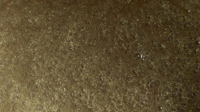 2018 kinopatio | khm