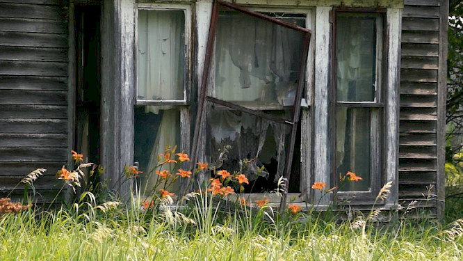 2015 LiMaMedia Lilo Mangelsdorff