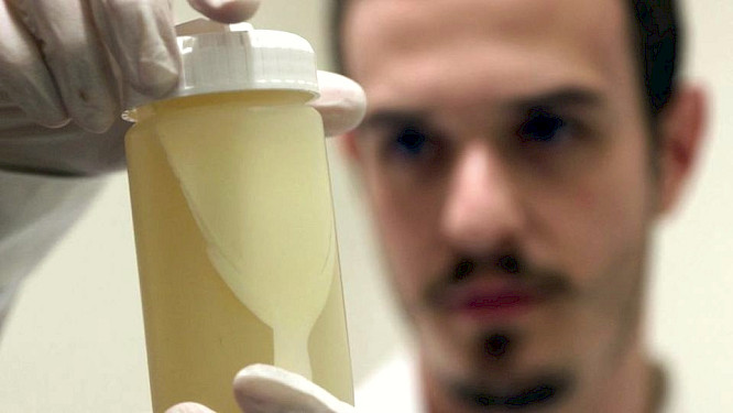 2018 telekult Film- und Medienproduktion GmbH