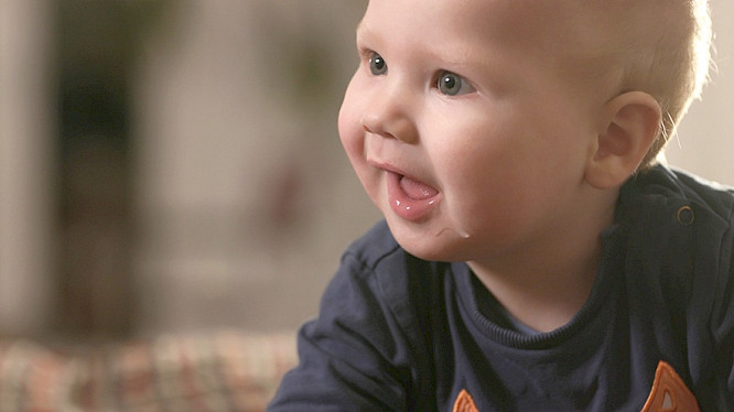 2018 telekult Film- und Medienproduktion GmbH