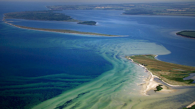 2014 Vidicom Media GmbH