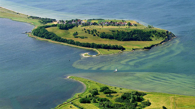 2014 Vidicom Media GmbH